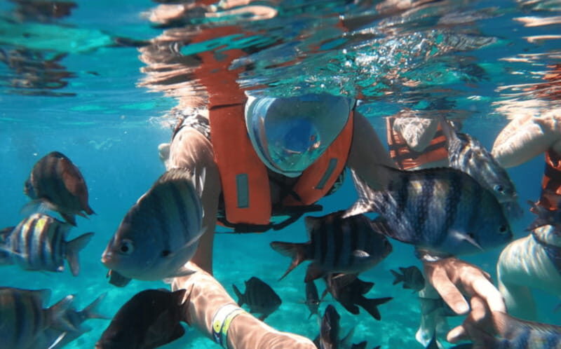 Explore the sea of cozumel in a transprent boat with drinks and snorkel. - Final Thoughts