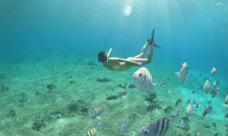 Explore the sea of cozumel in a transprent boat with drinks and snorkel. - FAQs