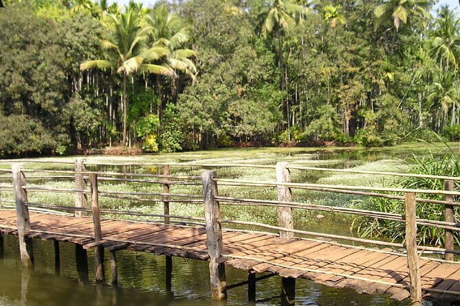 Explore The South Goa Full-Day City Sightseeing Tour - FAQ