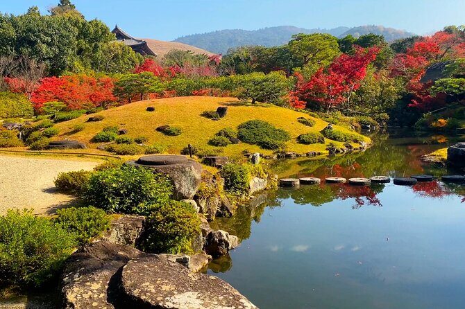 Explore the Timeless Heritage of Nara from Kyoto - Who Will Really Appreciate This Tour?