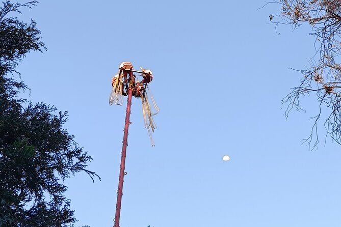 Explore the Underworld at the National Museum of Anthropology - Practical Details That Matter