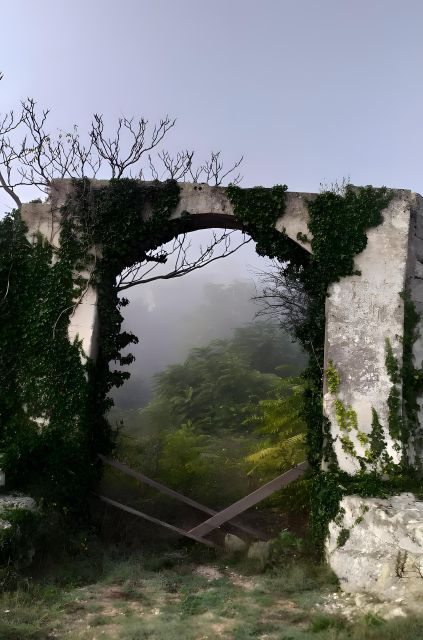 Explore the UNESCO Park of Murgia Materana - Highlights of the Park Experience