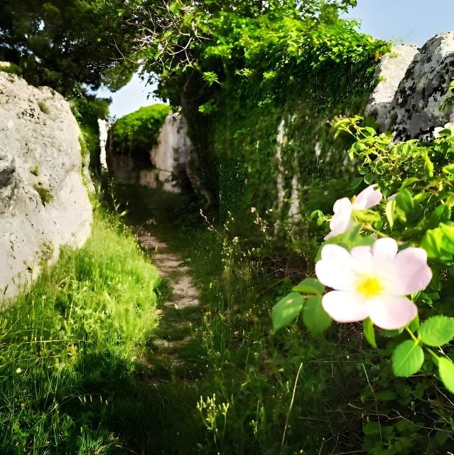 Explore the UNESCO Park of Murgia Materana - Frequently Asked Questions