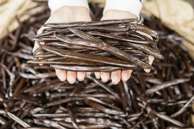 Explore the Vanilla Island Full-Day Tour to Tahaa from Bora Bora - Practical Details and Tips