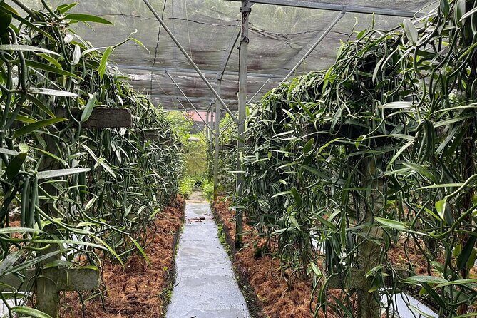 Explore the Vanilla Island Full-Day Tour to Tahaa from Bora Bora - Final Thoughts