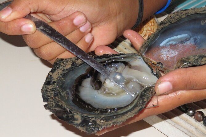 Explore the Vanilla Island Full-Day Tour to Tahaa from Bora Bora - FAQ