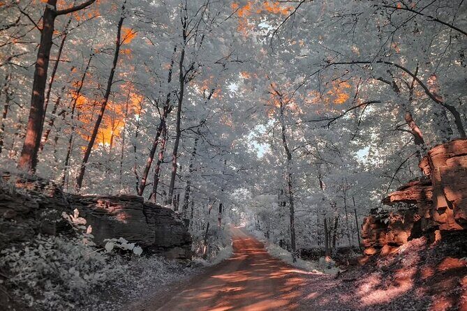 Explore the Views of Niagara Falls - Is This Tour Worth the Price?