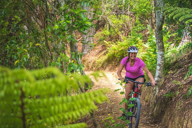 Explore the Waitangi MTB Park on Electric Bikes - Park Overview