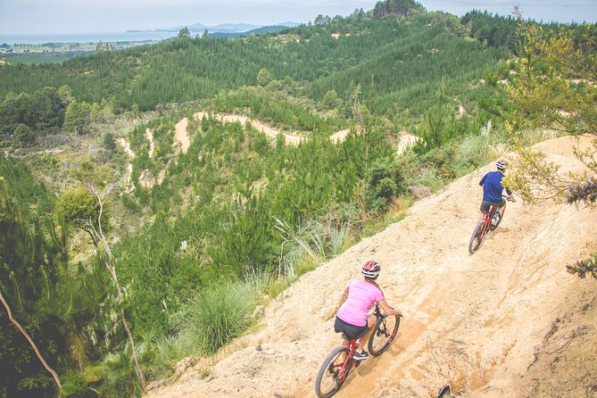 Explore the Waitangi MTB Park on Electric Bikes - Trail Difficulty Levels