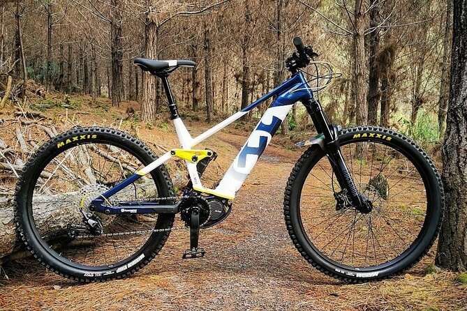 Explore the Waitangi MTB Park on Electric Bikes - Safety Guidelines
