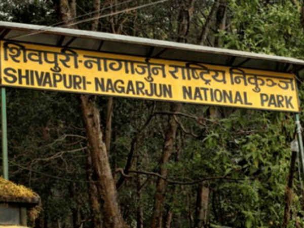 Explore the Wilderness of Shivapuri Hill: Day Hiking - Contact and Booking Information