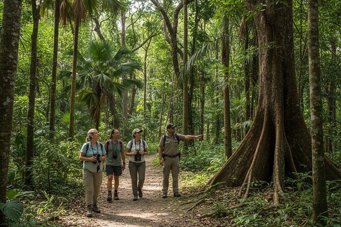Explore the Wonders of New Caledonia from Noumea Cruise Terminal - Good To Know