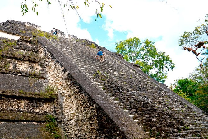 Explore Tikal: Full-Day Group Tour - Tour Highlights