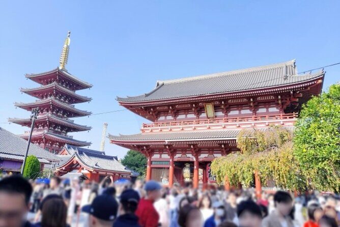 Explore Tokyo Highlights Layover Tour - A Close Look at the Itinerary