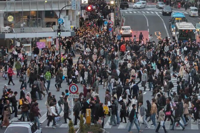 Explore Tokyo on a Private Walking Tour - The Sum Up