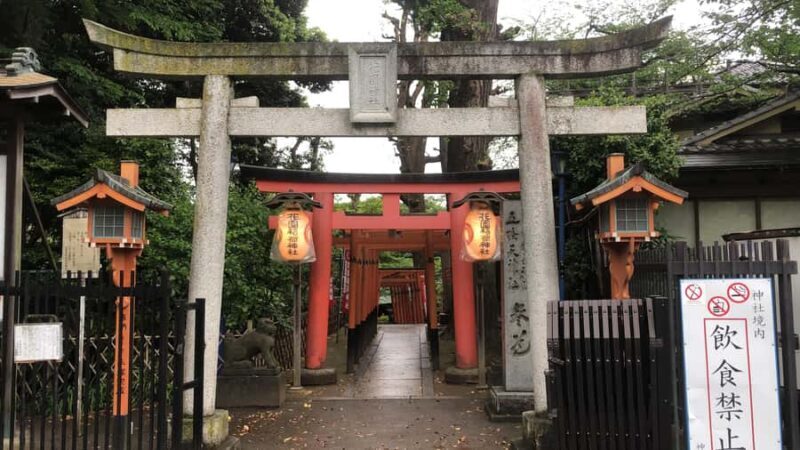 Explore Tokyo Your Way: 5h Private Customizable Walking tour - A Deep Dive into the Experience