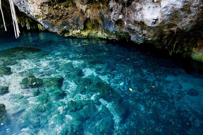 Explore Tulum and Dos Ojos Cenote with lunch and transportation - The Itinerary in Detail