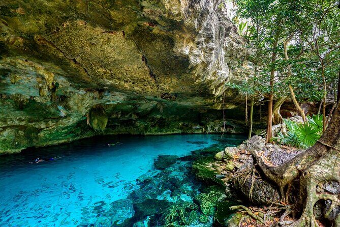 Explore Tulum and Dos Ojos Cenote with lunch and transportation - Pricing and Value