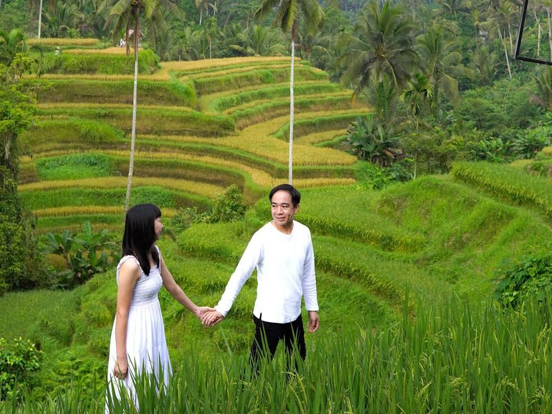 Explore Ubud: Rice Terrace, Temple & Waterfalls Private Tour - At a glance