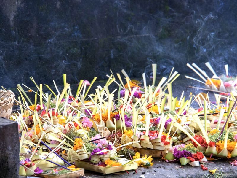Explore Ubud: Rice Terrace, Temple & Waterfalls Private Tour - What the price does and does not cover