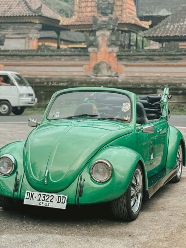 Explore Ubud with Volkswagen Beetle/Safari 181 - The Charm of the Volkswagen Beetle Safari Experience
