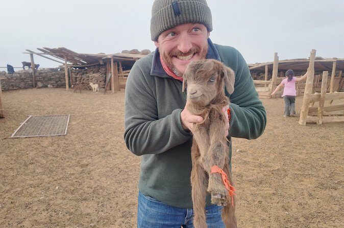 Explore Ulaanbaatar with Guided 6-Day Tour - FAQs