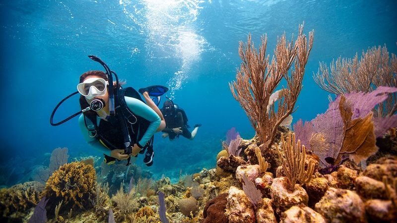 Explore Underwater Wonders: Open Water in Phuket with PADI Center - Key points to know before you book