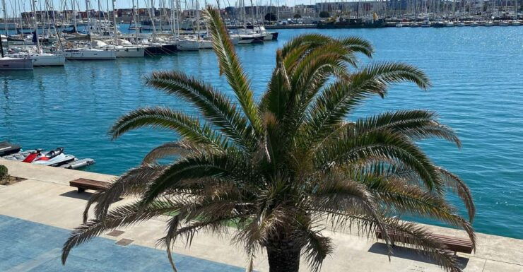 Explore Valencia's Coastal Gems: Private Sailing Tour - Experience Highlights