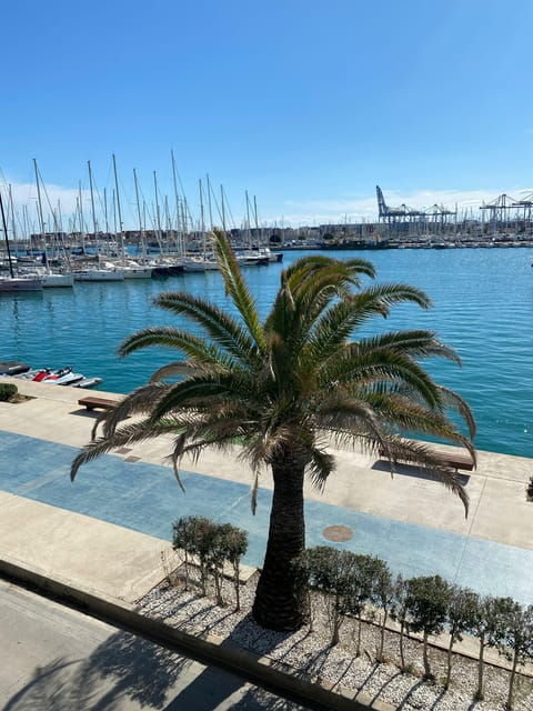 Explore Valencia's Coastal Gems: Private Sailing Tour - Scenic Locations