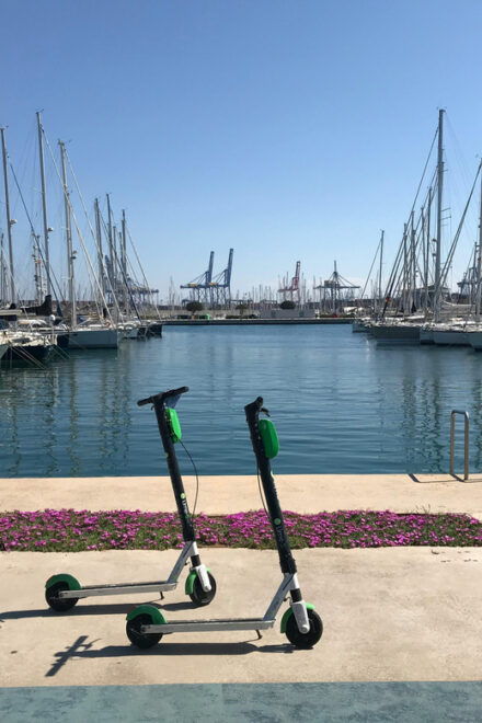 Explore Valencia's Coastal Gems: Private Sailing Tour - Frequently Asked Questions