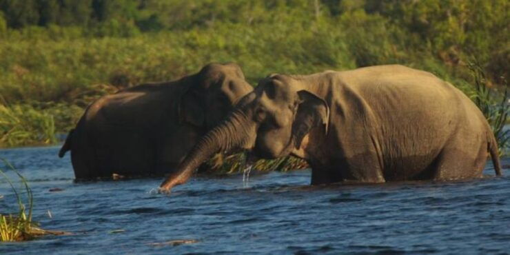 Explore Vedda Village and Gal Oya National Park on a 3-Day - Itinerary Overview