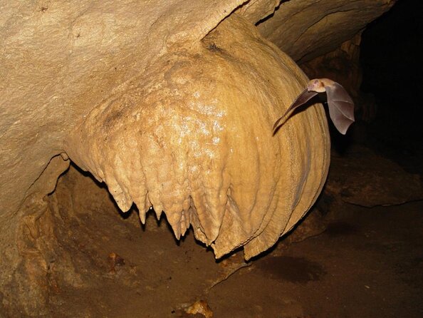 Explore Venado Caves, Arenal Volcano National Park Costa Rica  - La Fortuna - Traveler Experiences
