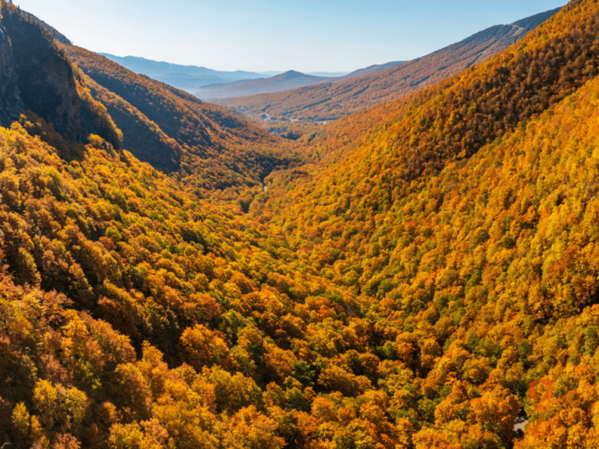 Explore Vermont Route 100: Scenic Self-Guided Driving Tour - Customer Feedback and Experience