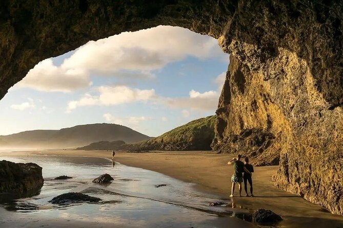 Explore West Auckland With Winery - Winery Tours in West Auckland
