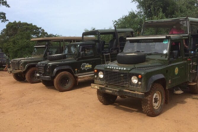 Explore Wild Wonders of Yala - An In-Depth Look at the "Explore Wild Wonders of Yala" Tour