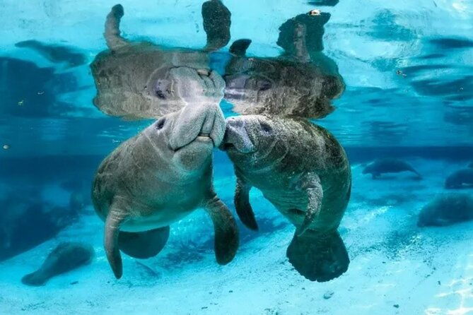 Explore Wildlife Sanctuaries on the WILD Palm Beaches Tour - Good To Know