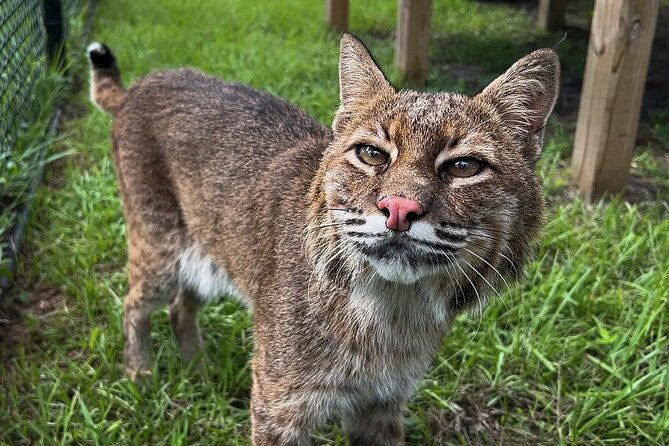 Explore Wildlife Sanctuaries on the WILD Palm Beaches Tour - Final Thoughts