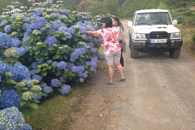 Explore With Our Guides the West Side & Sete Cidades on a Surprising 4x4tour - Common Questions