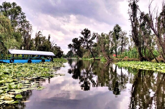 Explore Xochimilcos Canals, Markets, Art & Anahuacalli Museum - Who Would Love This Tour?  