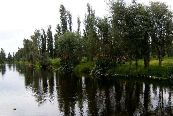 Explore Xochimilcos Canals, Markets, Art & Anahuacalli Museum - Frequently Asked Questions  