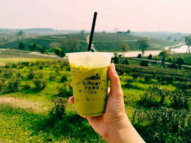 Explorer Border Road and Nature ( Tea and Coffee ) - Important Information