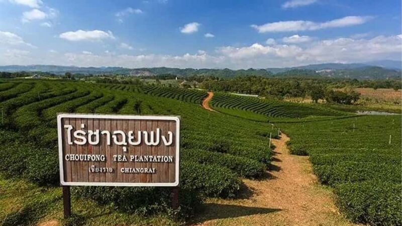 Explorer Border road and Nature (Tea and Coffee) Chiang Rai - Transportation and Group Size  