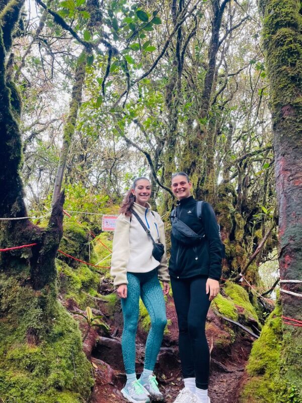 Explorers Dream Destinations - The extra cost of entering the forest