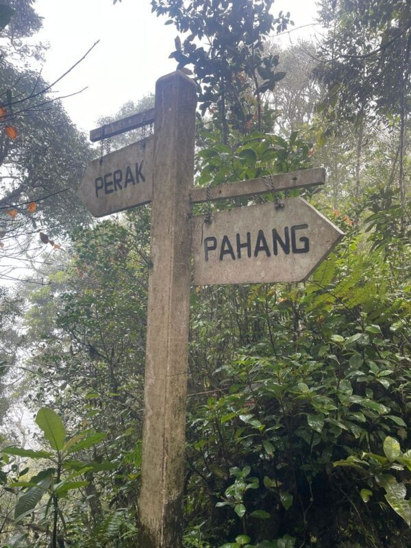 Explorers Dream Destinations - Guides add context, but the tour style can be light