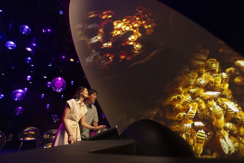 Exploria Ticket | Mandai Wildlife Reserve, Singapore - Exploria at a glance