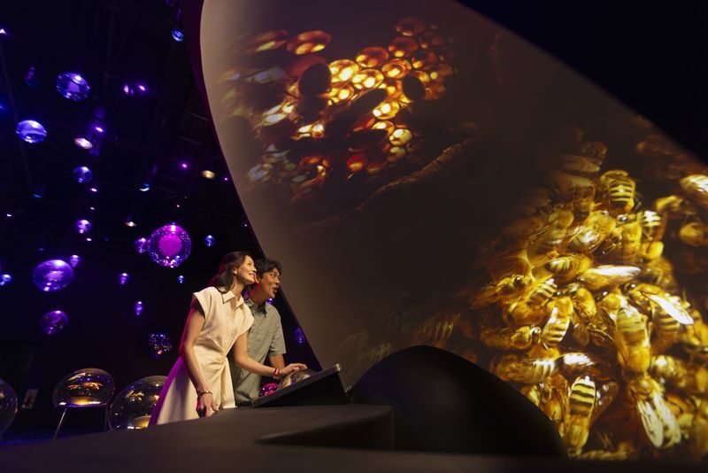 Exploria Ticket | Mandai Wildlife Reserve, Singapore - Should you book Exploria?