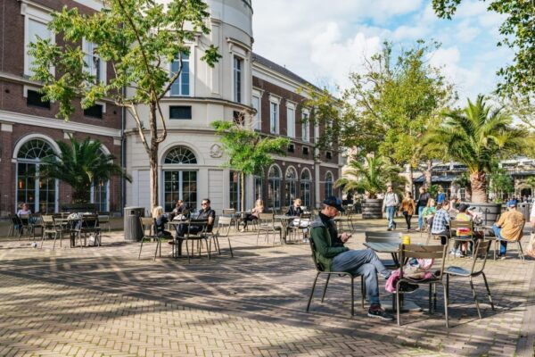 Exploring Amsterdam Like a Local by Bike & Optional Cruise - Bike Tour Highlights