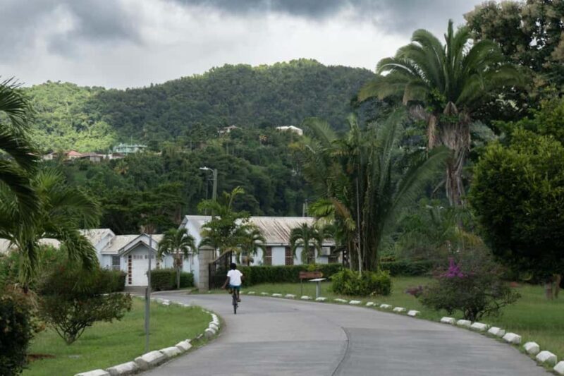 Exploring and Tasting Roseau | Full-Day Tour - What the Tour Means for You