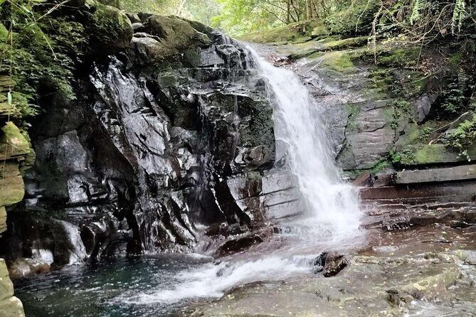 Exploring Bach Ma Trekking Hue National Park - Conquering the Peak and the Peace Bell