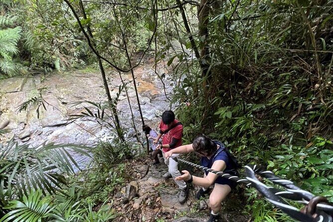 Exploring Bach Ma Trekking Hue National Park - Final Thoughts: Is This Tour for You?